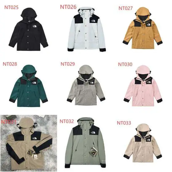 The North Face Windbreaker