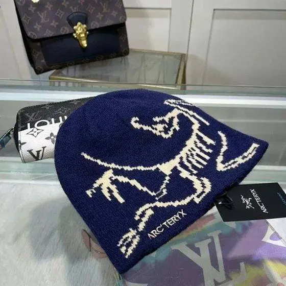 Arcteryx Beanie