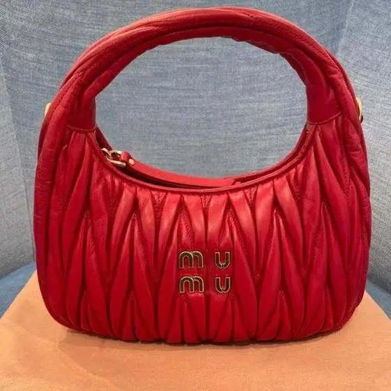 Miu Miu Bag