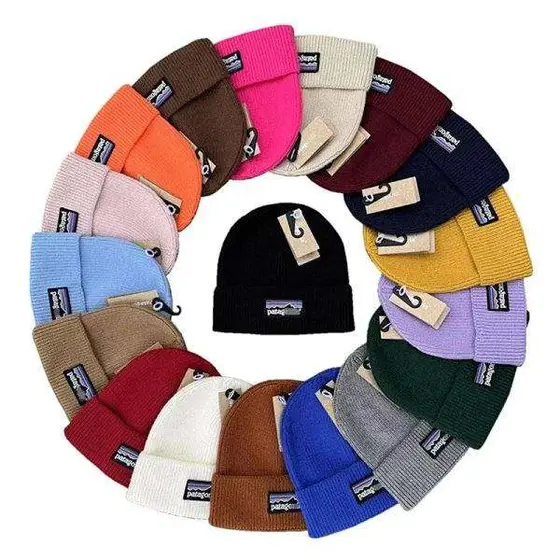 Patagonia Cap
