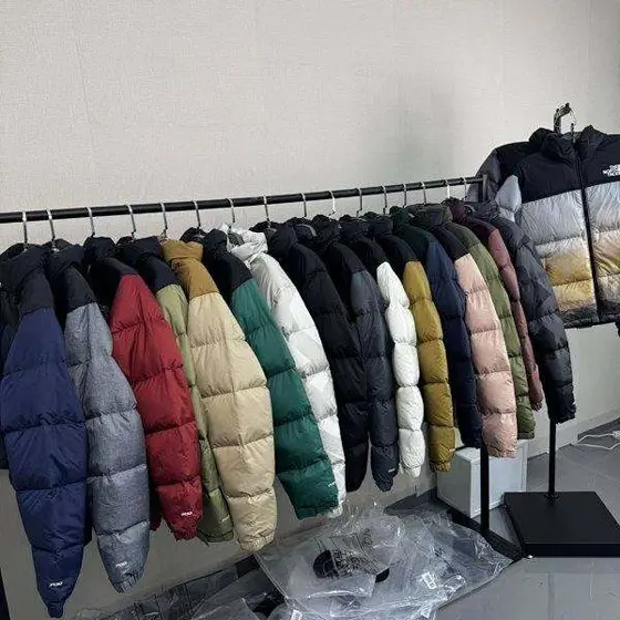 The North Face Down Jacket