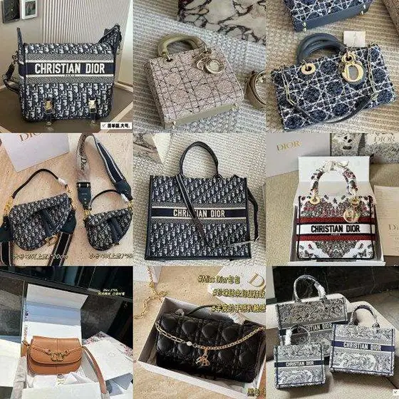Dior Bag